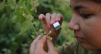 a person holding a small plant