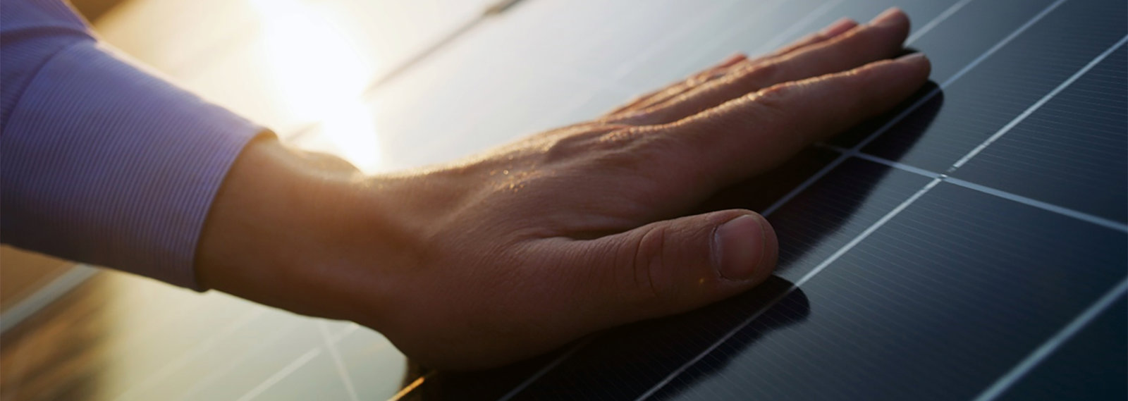 a close-up of a hand on a laptop