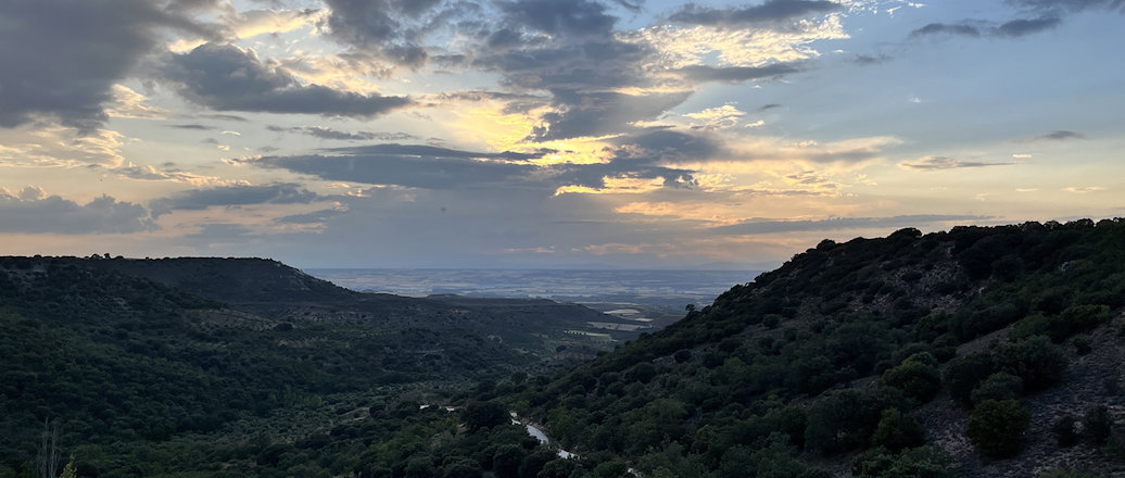 a landscape with trees and hills