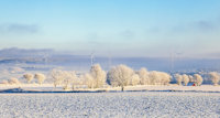 A field of snow with windmills in the distance