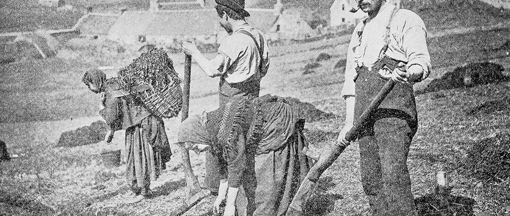 men and women working a field