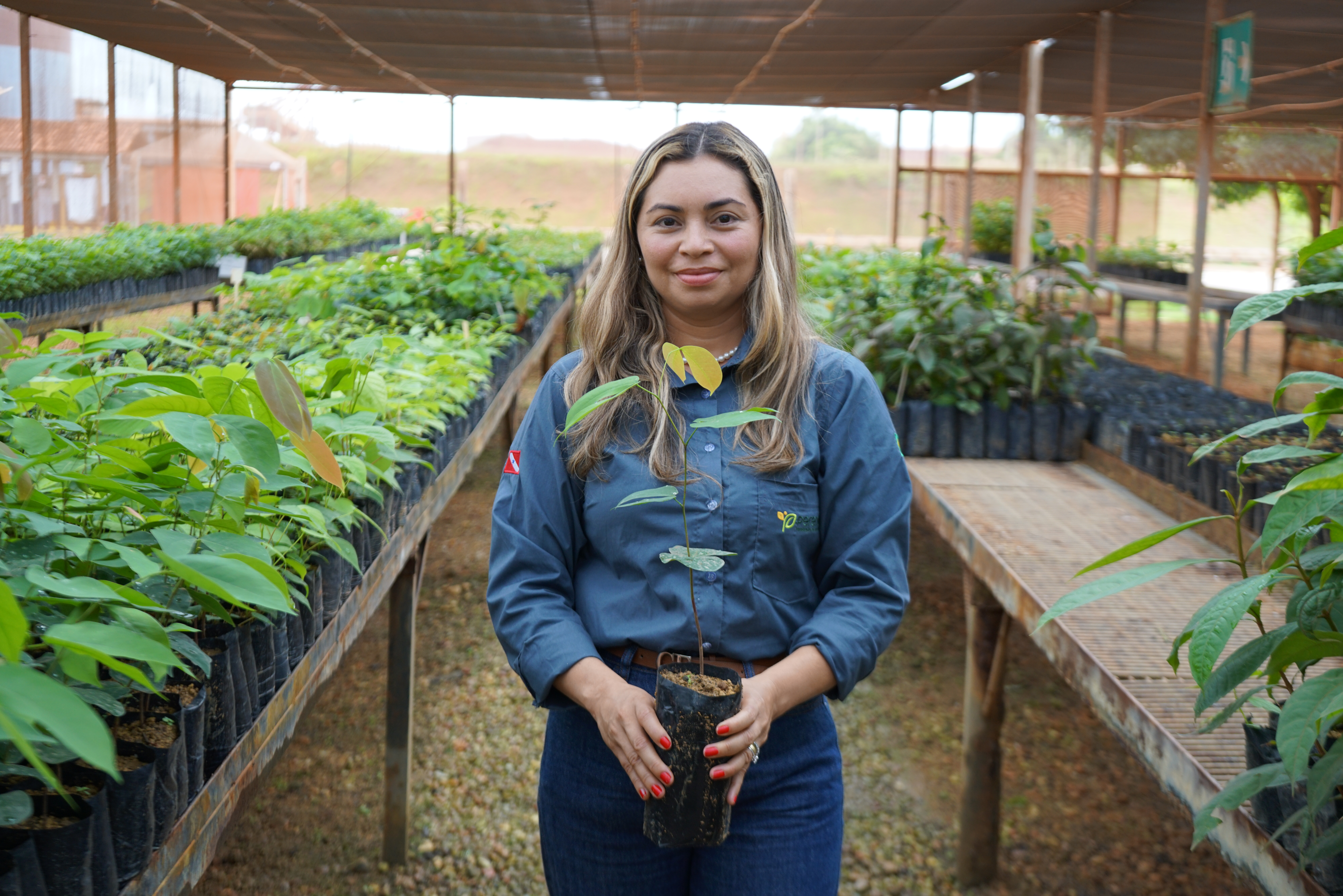 a woman holding a plant in a greenhouse