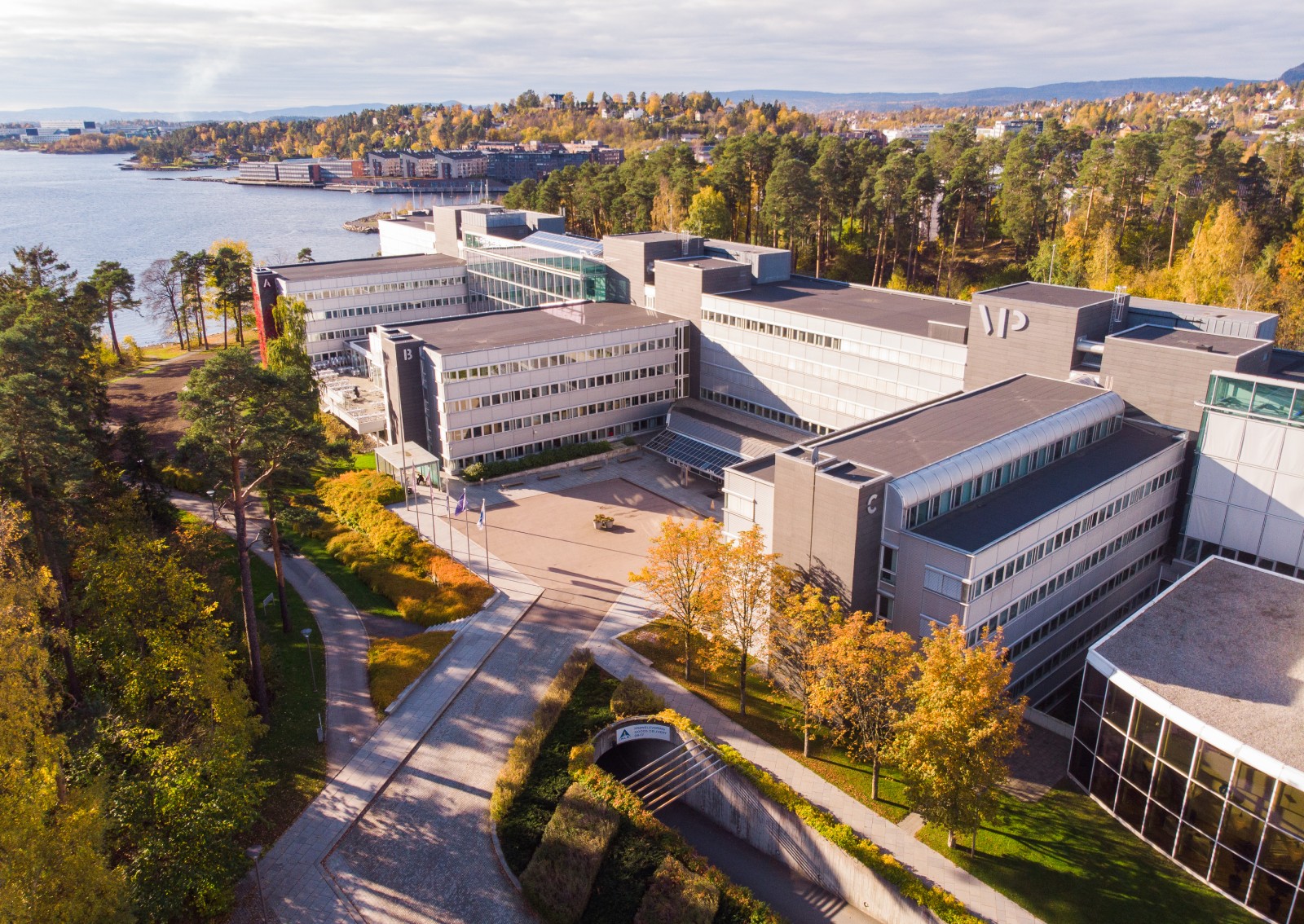 a high angle view of buildings and trees