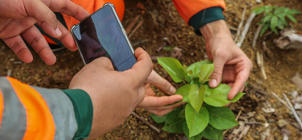 a person holding a cell phone