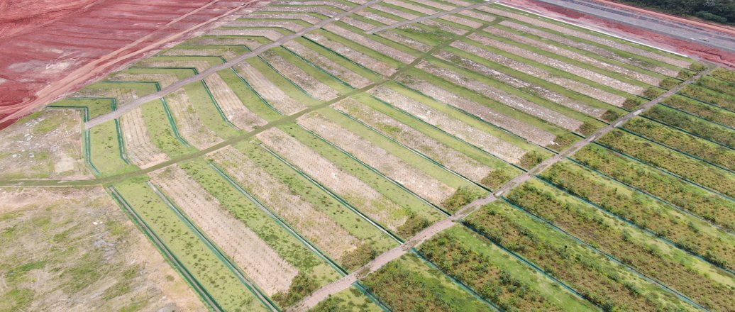 240121_revegetação DRS1