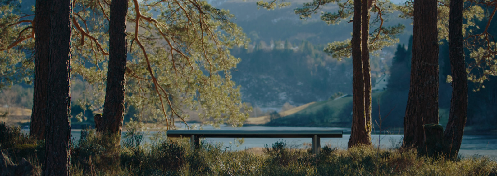 Bello! in nature.jpg