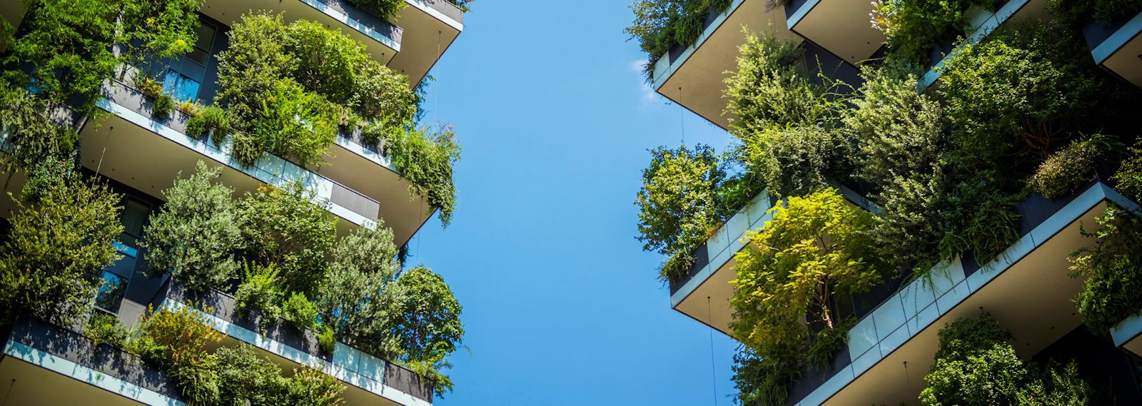 balkonger med store grønne planter